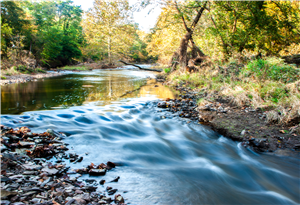 shutter blur river stream in autumn